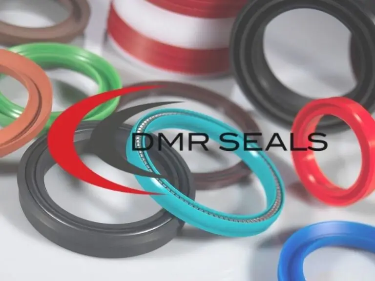 DMR Seals Case Study